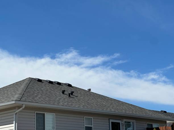 Best Roof Moss and Algae Removal  in Soquel, CA